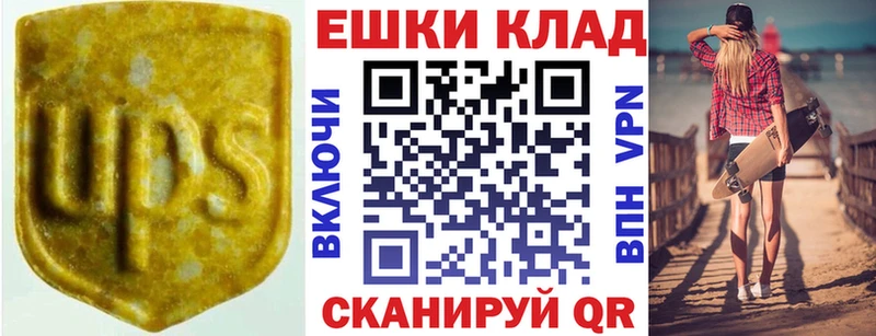MEGA Чехов Ecstasy Philipp Plein